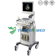 Ysb-Q3 Hospital 3D Trolley Color Doppler Ultrasound System